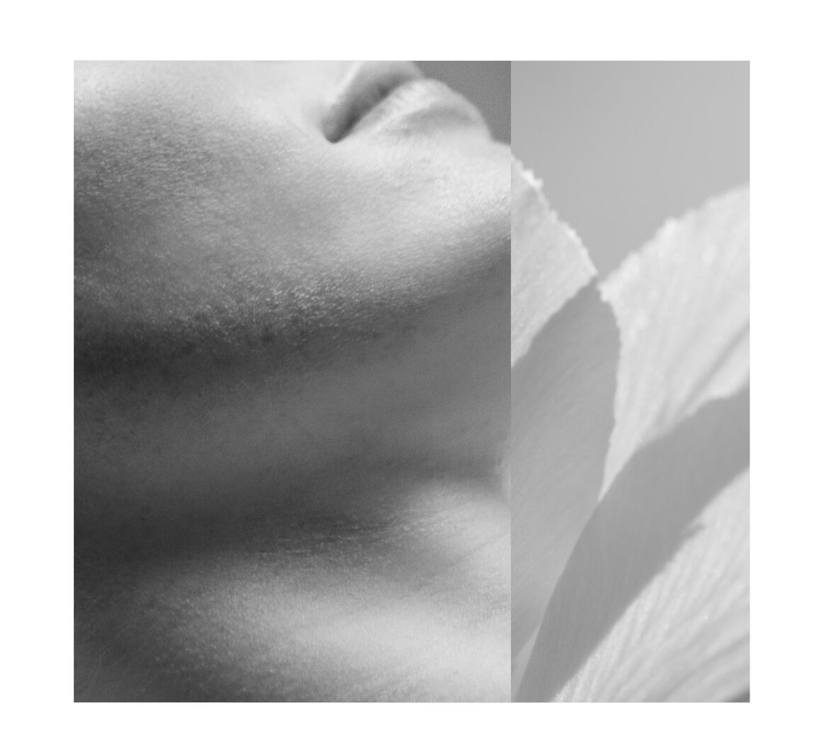 전문가 - Sisley Paris