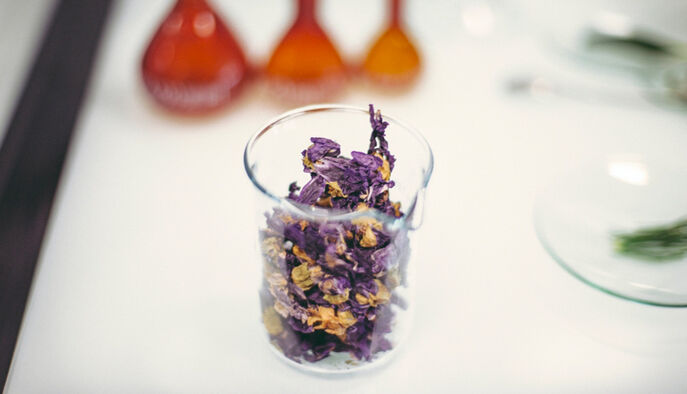 Sisley supports projects that aim to protect the environment and biodiversity both locally, in France and globally.