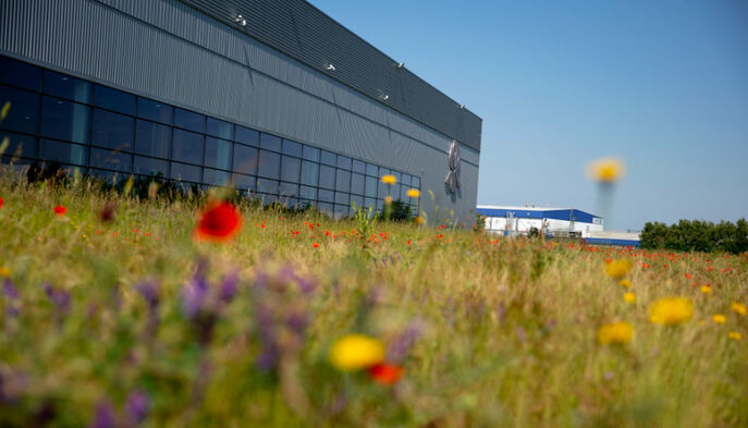 Sisley's various sites are focused on the preservation of the environment.