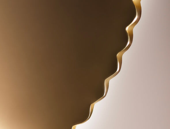 Ginkgo Gua Sha Product details