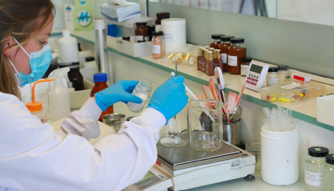 Sisley asses the environmental and social issues of each sector.