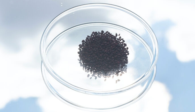 Sisley has made numerous investments in ecotoxicity.