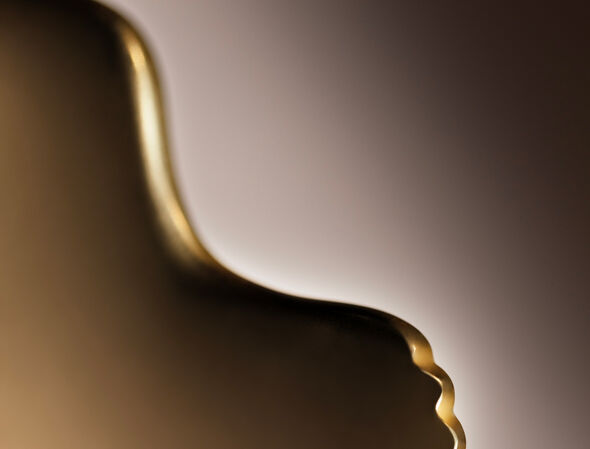 Ginkgo Gua Sha Product details