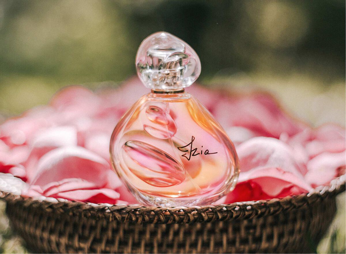 Uma rosa que floresce apenas no início de maio