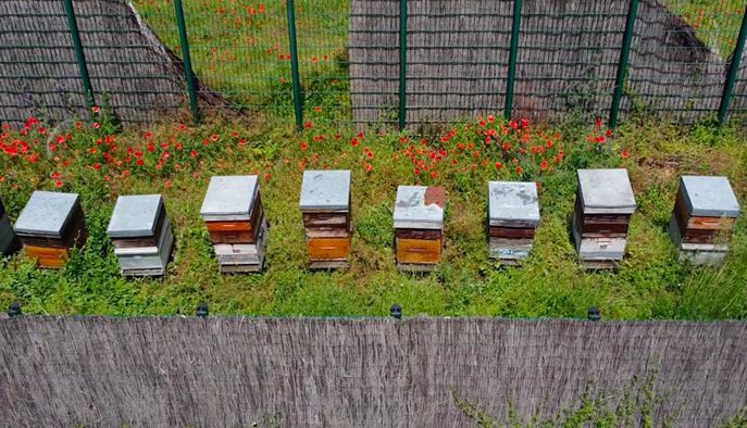 Sisley staff are regularly invited to meet with local producers.