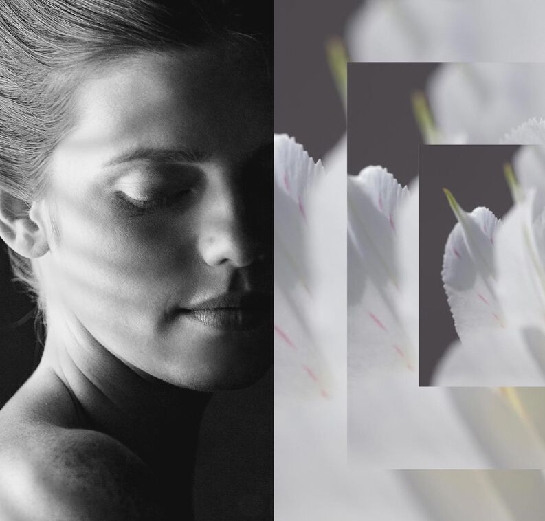 Sisley draws on its expertise from knowledge of plants.