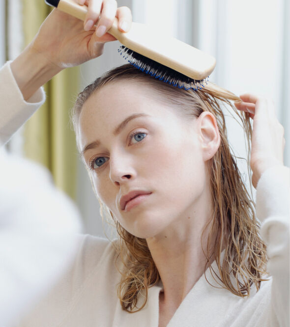 Brosses à cheveux mouillés pour femmes brosse démêlante de - Temu Belgium