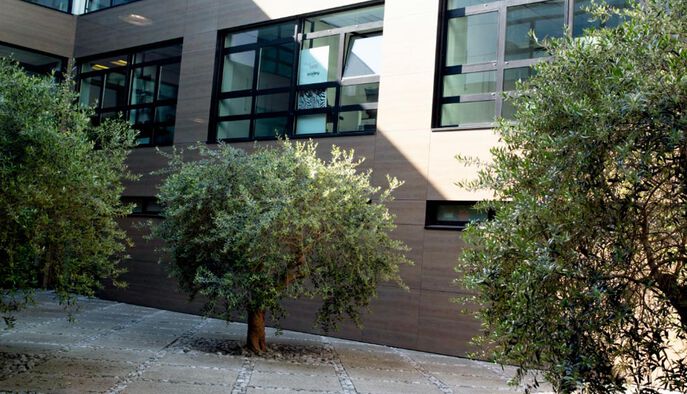 The workspaces at Sisley's Head Offices have been designed to be as aesthetically pleasing as possible to ensure everyone feels welcome.