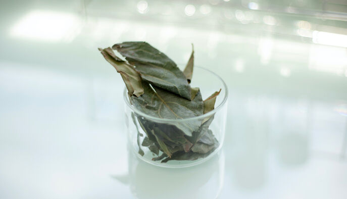 Sisley implements a sustainable supply policy with its suppliers.