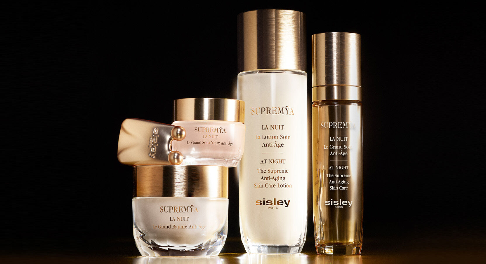 シスレー セルリ プロ×2 シスレー セルリ プロ×2