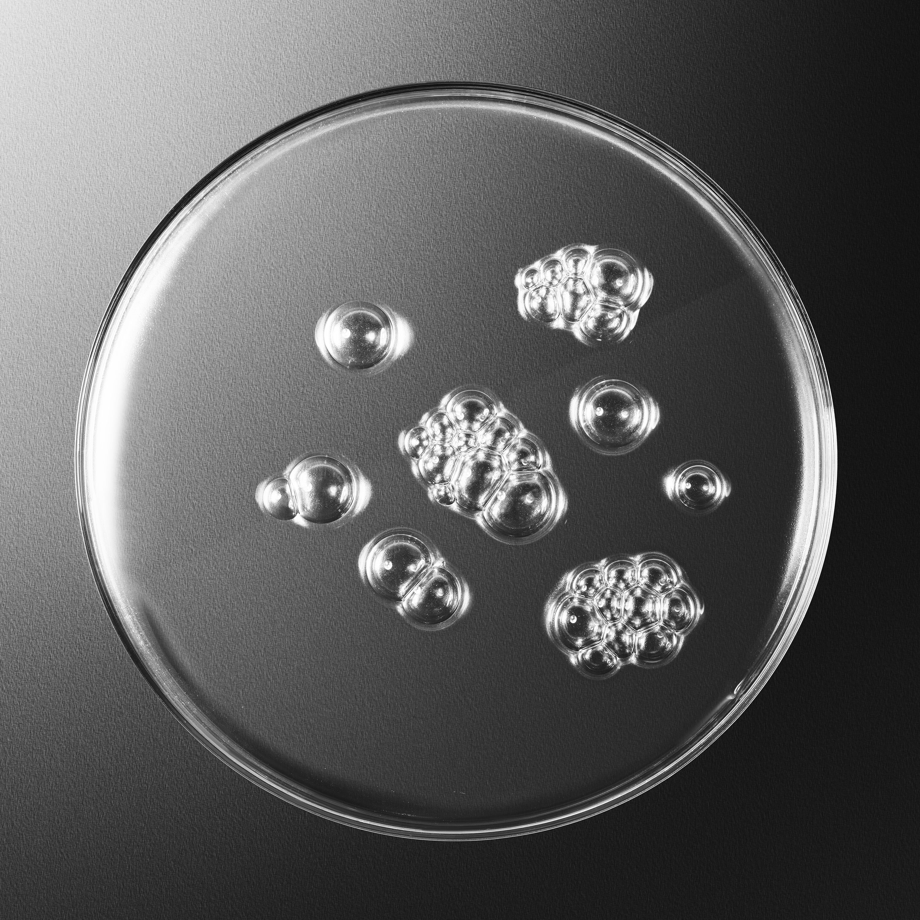 Sisleÿum Revitalizing Toning Lotion - Sisley Paris