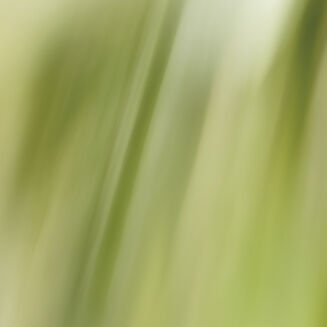 L'Eau R&ecirc;v&eacute;e d'Alma 100 ml