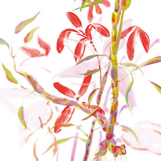 لو ريڤيه دو اريا 50 مل