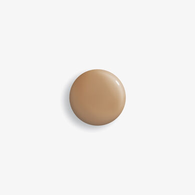 Phyto-Teint Perfection 6W Chestnut - Textura