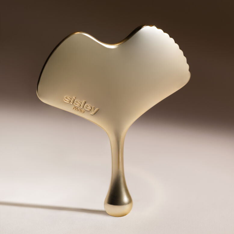 Gingko Gua Sha - Model