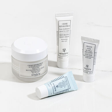 Restorative Skincare Collection - Topshot