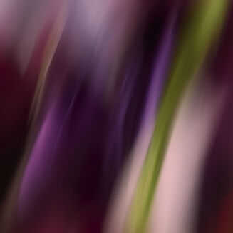 L'Eau R&ecirc;v&eacute;e d'Eliya 100ml