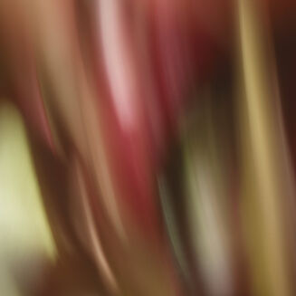 لو ريڤيه دو اريا 50 مل