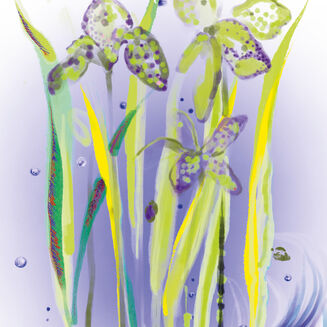 L'Eau R&ecirc;v&eacute;e d'Alma 100 ml