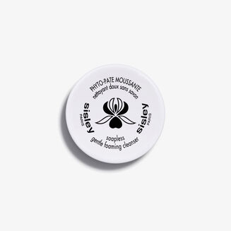 Soapless Gentle Foaming Cleanser