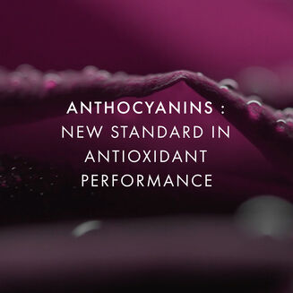 Black Rose Concentrated Serum