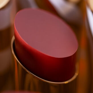 Phyto-Rouge Shine 32 Sheer Ginger