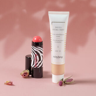 Duo Phyto-Hydra Teint