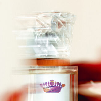 L'Eau R&ecirc;v&eacute;e d'Aria 100ml