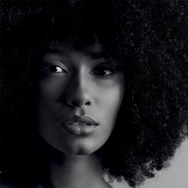 The Elegant Look - Topshot