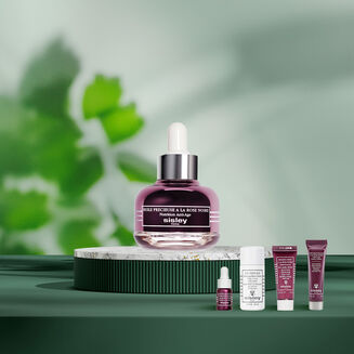 Black Rose Oil Collection