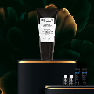 Online Exclusive: Fortifying Densifying Shampoo 200ml Set