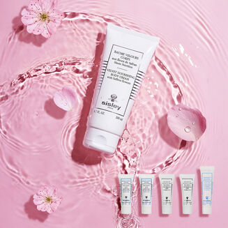 Online Exclusive: Velvet Nourishing Body Cream set