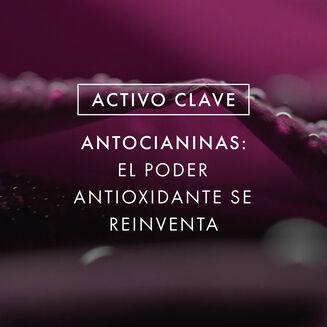 Concentr&eacute; &agrave; la Rose Noire