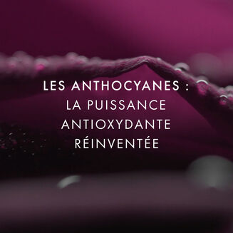 Concentr&eacute; &agrave; la Rose Noire