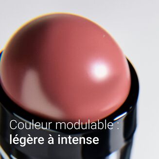 Phyto-Blush Twist 10 Fig