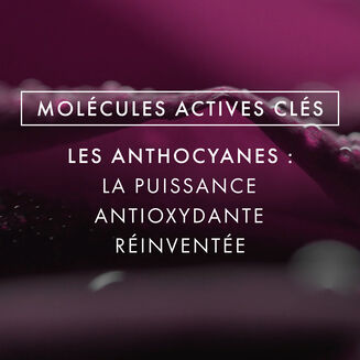 Routine Concentr&eacute; &agrave; la Rose Noire