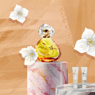 【期間限定】イジィア キット