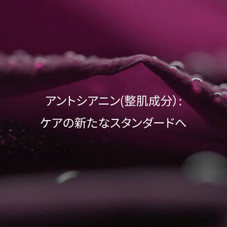 ブラックローズ コンセントレート ラディアンス セラム