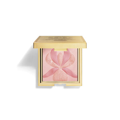 オーキッド ブラッシュ 2 オーキッド ローズ