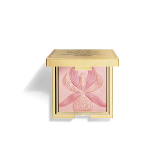 オーキッド ブラッシュ 2 オーキッド ローズ