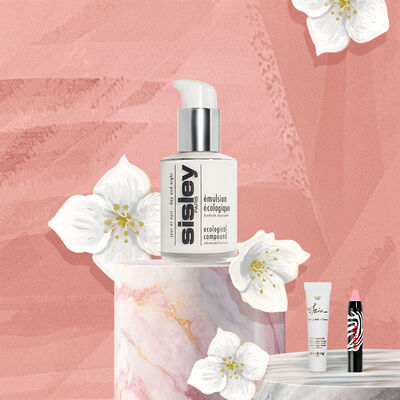 【期間限定】エコロジカル コムパウンド アドバンスト キット