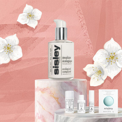 【公式オンライン限定】エコロジカル コムパウンド アドバンスト キット