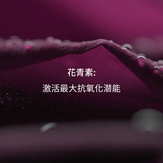 玫瑰煥采凝活雙精華