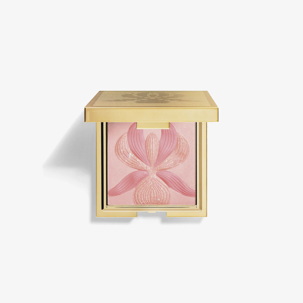 閃亮彩妝盒 - Rose - 產品圖