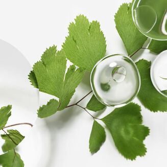 全能乳液 - 超越全能全新配方 60 ml