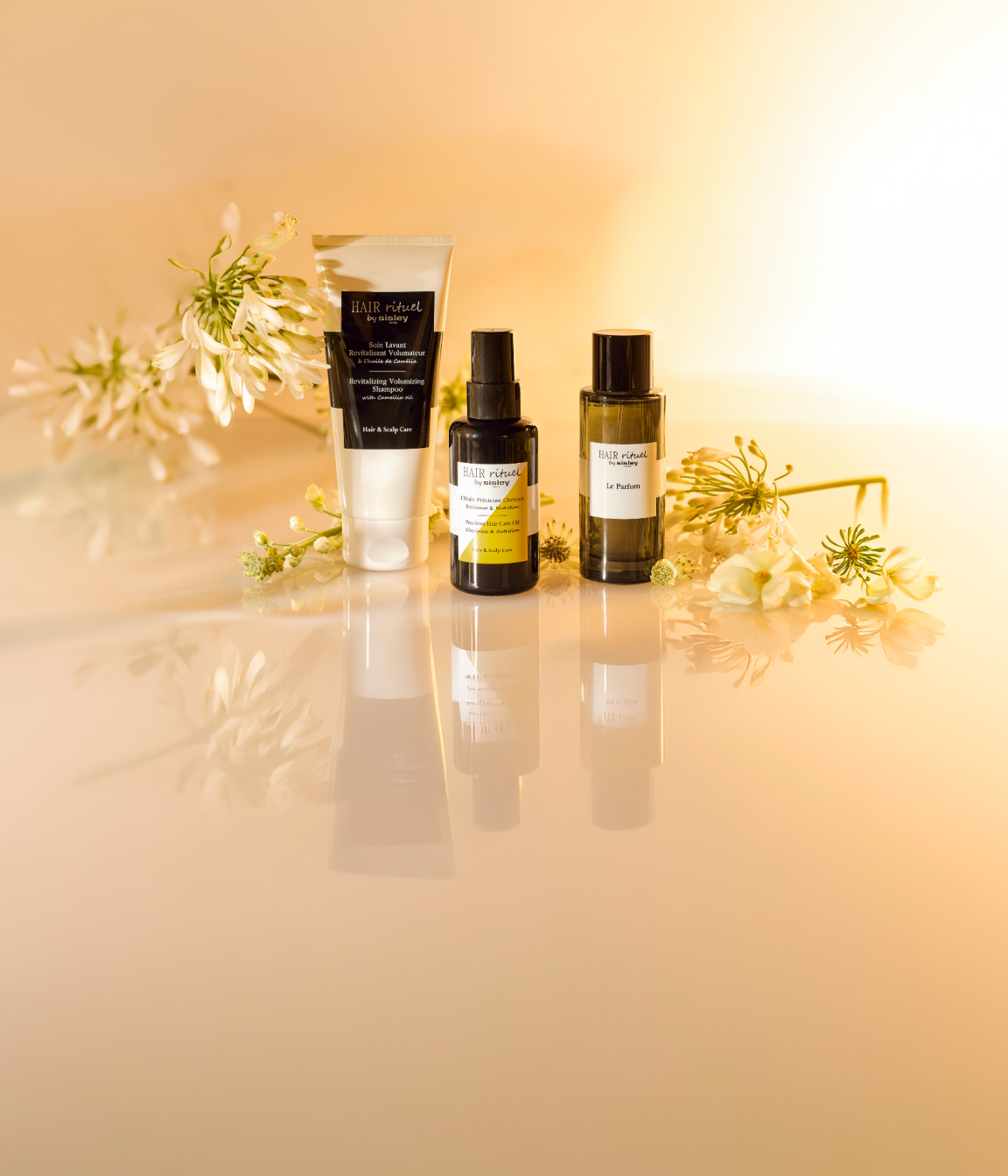 Fr&uuml;hlingsangebot 