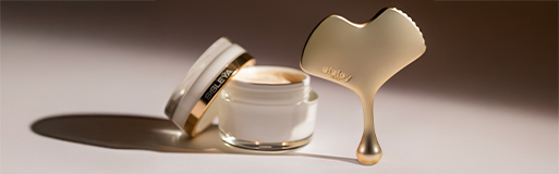 시슬리 징코 과샤 포커스 이미지