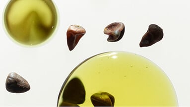 Roucou seeds