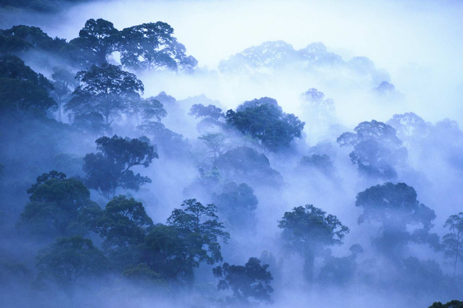 Philippe Bourseiller