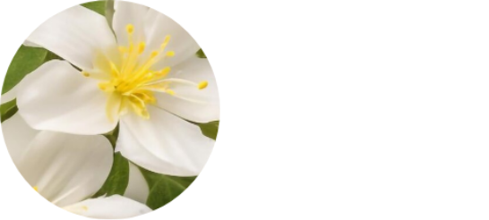 Famille olfactive Florale